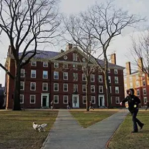 Harvard University
