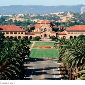 Stanford University